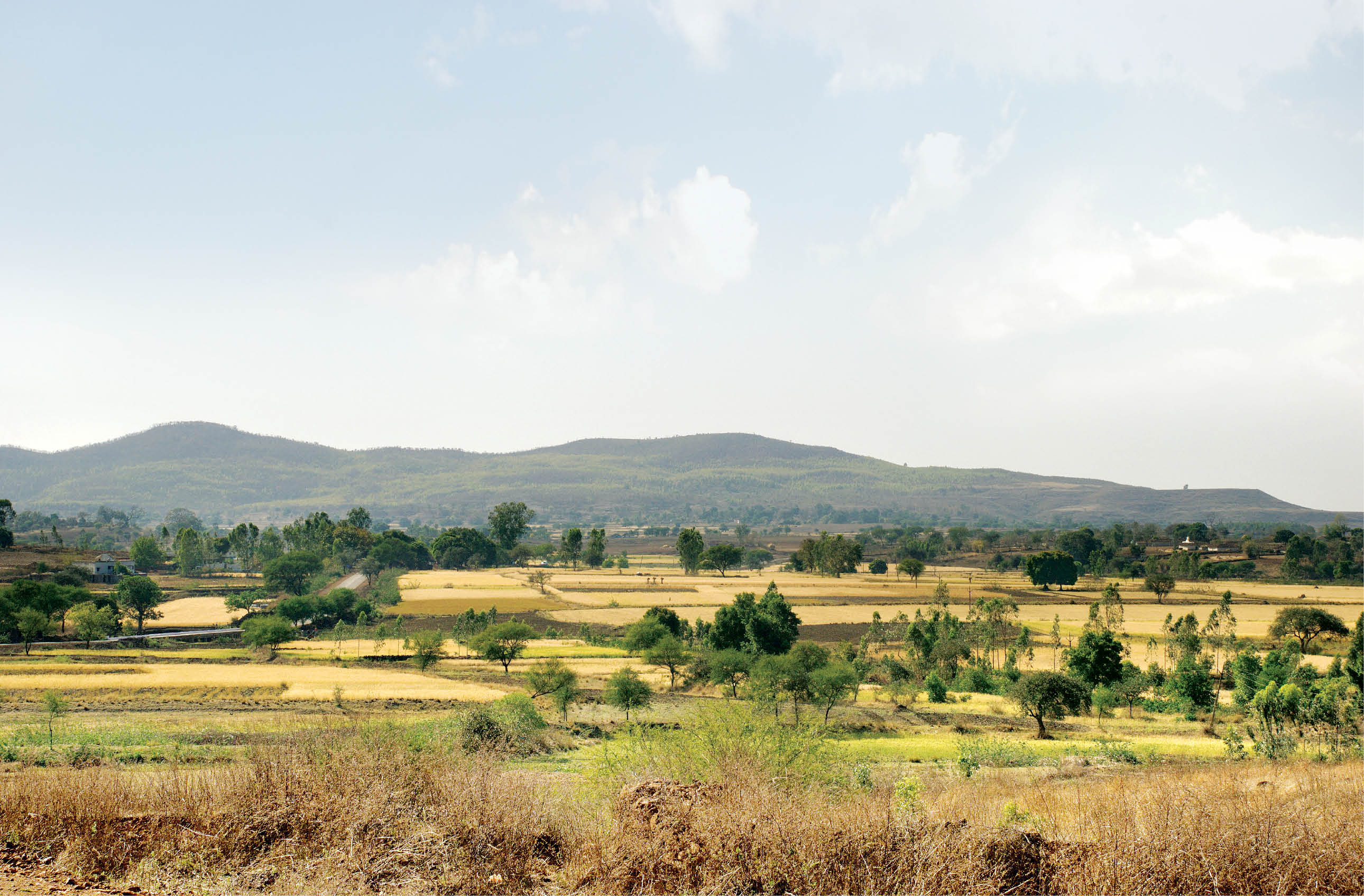 Climate Change and India's Agriculture